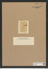 Hemiaulus reticulatus Grev. (de-Toni-Nr.: Genus 117, Species 3363) Zeichnungen Sammlung Grunow Nr. 6771 (NHMW-BOT-W0375603)